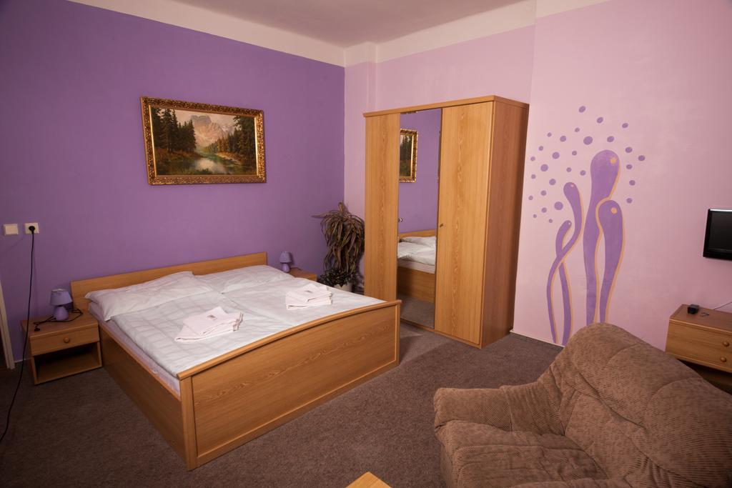Hotel Haltrava Klenci pod Cerchovem Værelse billede